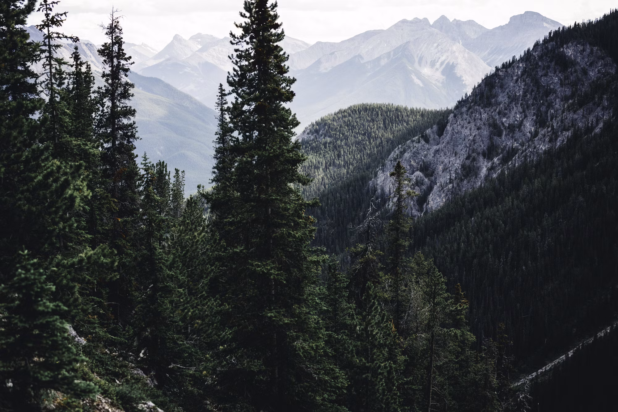 Exploring the World of Family Camping: Creating Lasting Memories